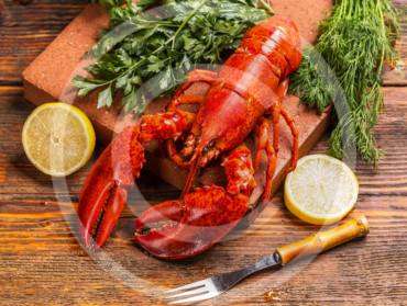 Seafood and international trade law